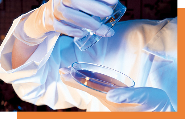 �����k����CRO��˾�ṩ�ķ���